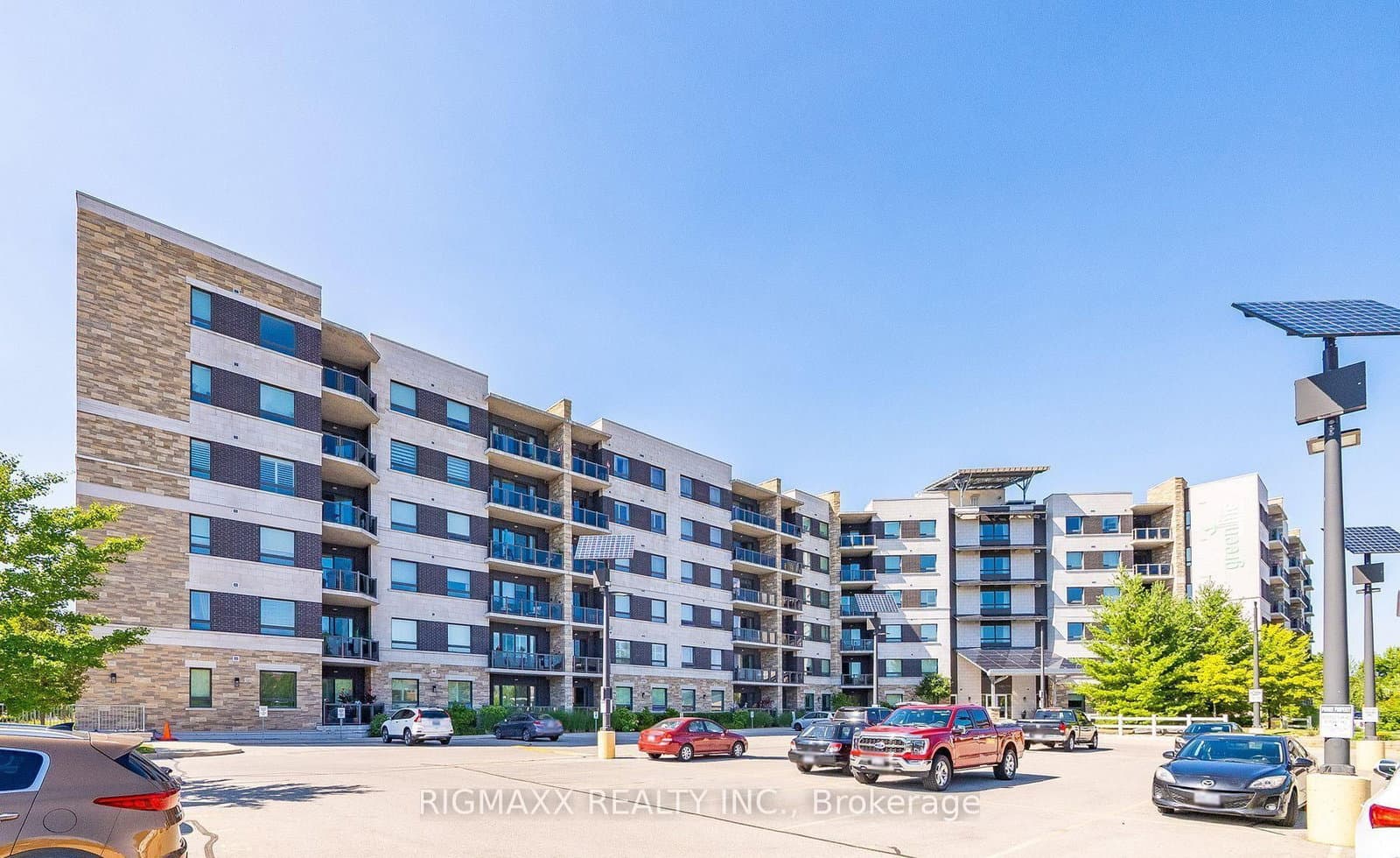 #222 - 33 Whitmer Street