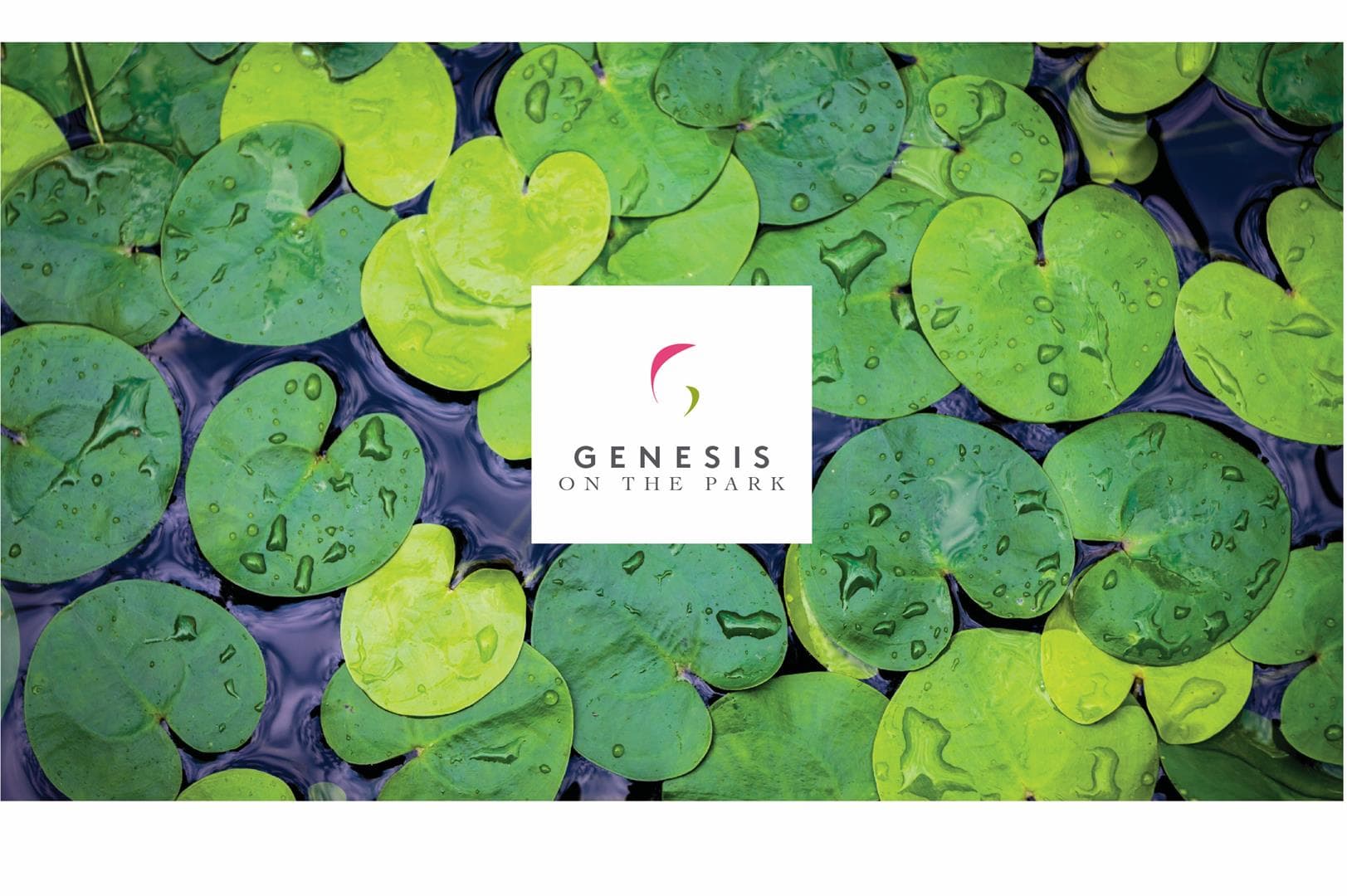 Genesis On The Park Condos - Image 2