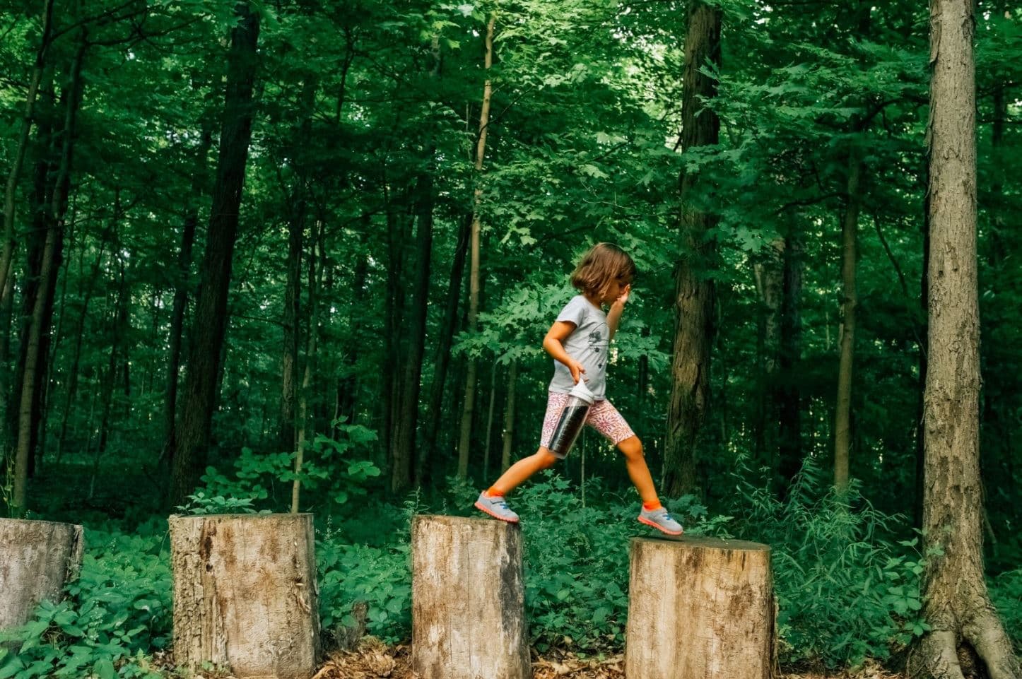 Park District Towns - Image 7