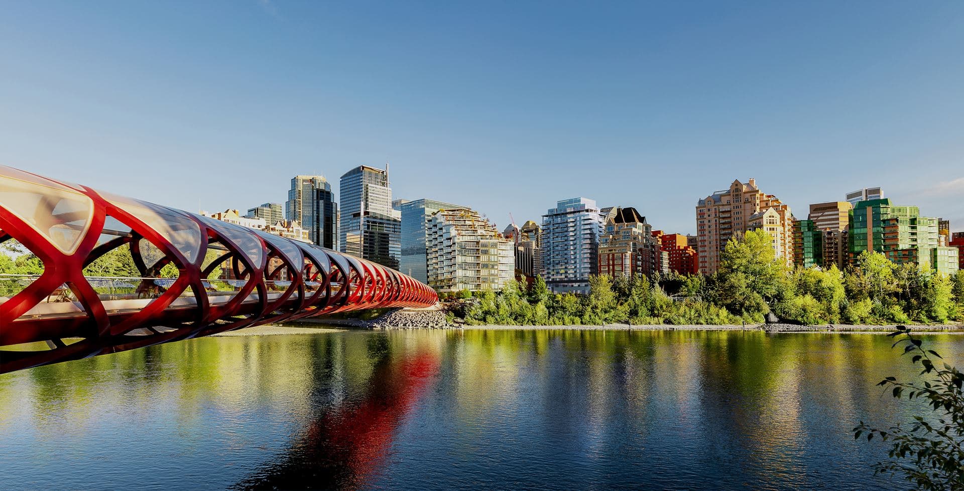 First & Park Condos - Image 6